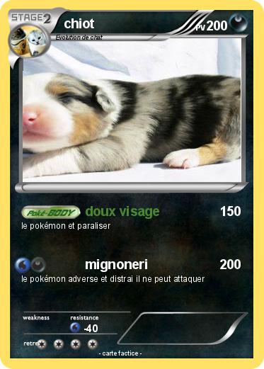 Pokemon chiot