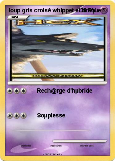 Pokemon loup gris croisé whippet et braque