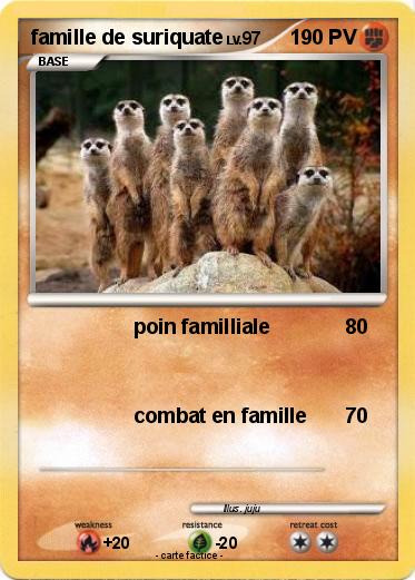 Pokemon famille de suriquate