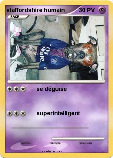 Pokemon staffordshire humain