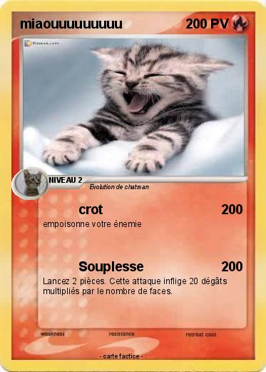 Pokemon miaouuuuuuuuu