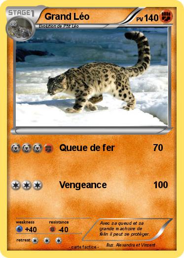 Pokemon Grand Léo