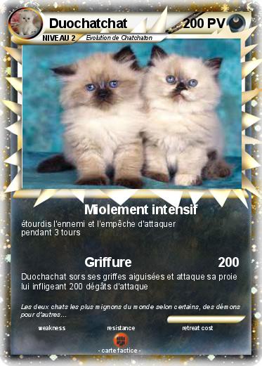 Pokemon Duochatchat