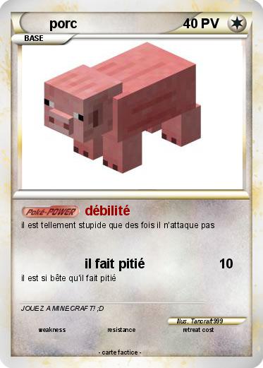 Pokemon porc