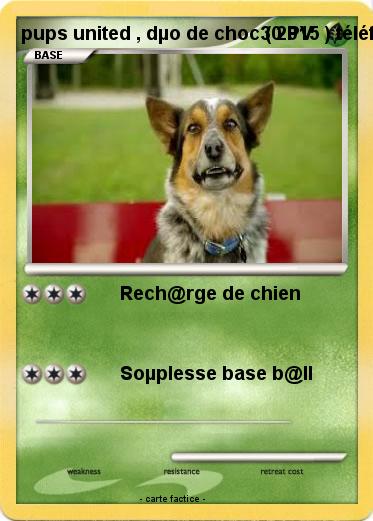 Pokemon pups united , dµo de choc ( 2015 ) téléfilm