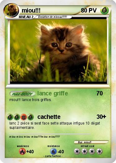 Pokemon miou!!!