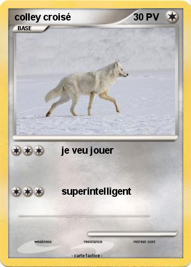 Pokemon colley croisé