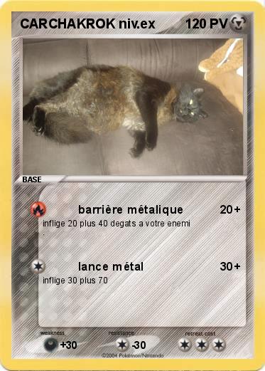Pokemon CARCHAKROK niv.ex