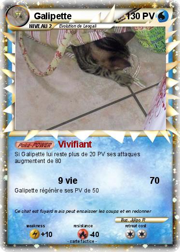 Pokemon Galipette