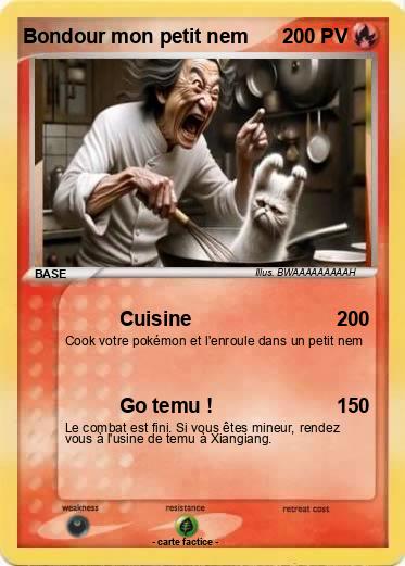 Pokemon Bondour mon petit nem