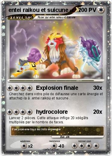 Pokemon entei raikou et suicune