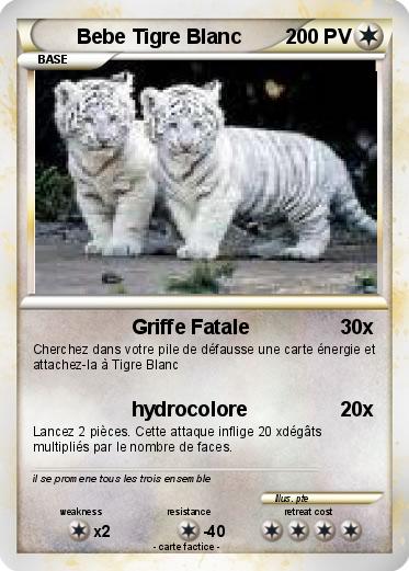 Pokemon Bebe Tigre Blanc