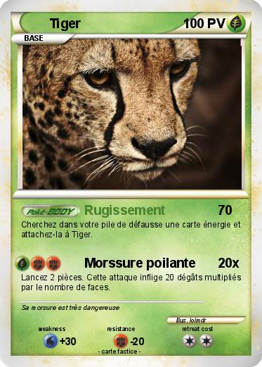 Pokemon Tiger