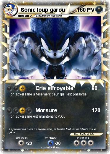 Pokemon Sonic loup garou