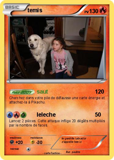 Pokemon temis