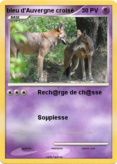 Pokemon bleu d'Auvergne croisé