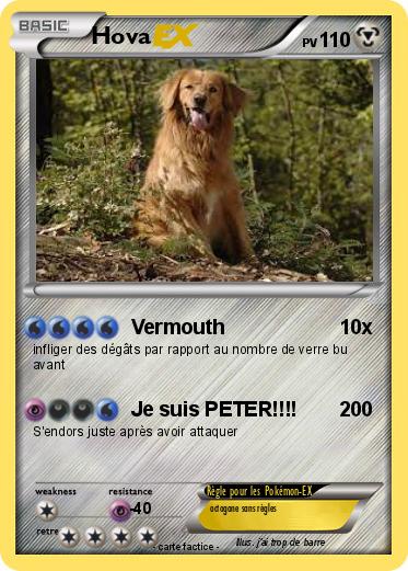 Pokemon Hova