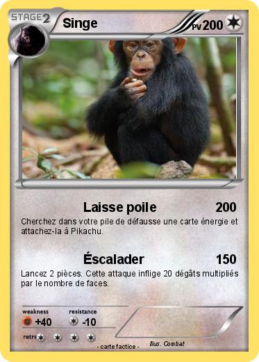 Pokemon Singe