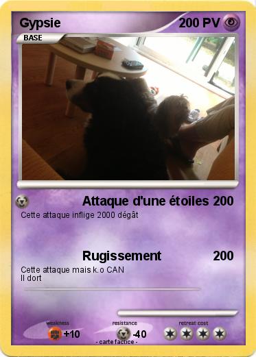 Pokemon Gypsie