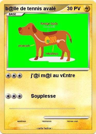 Pokemon b@lle de tennis avalé