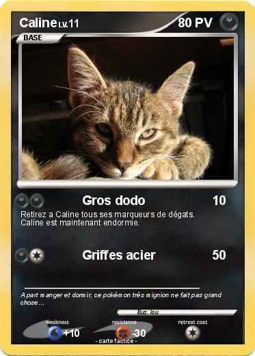 Pokemon Caline