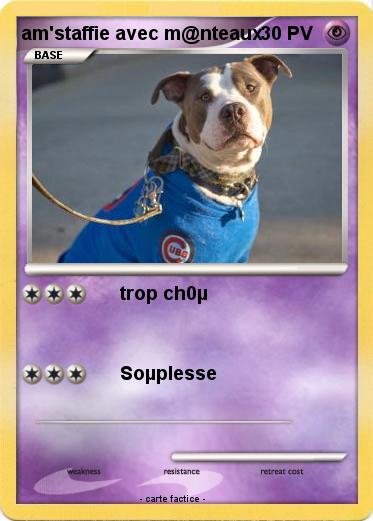 Pokemon am'staffie avec m@nteaux