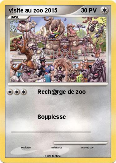 Pokemon v!site au zoo 2015