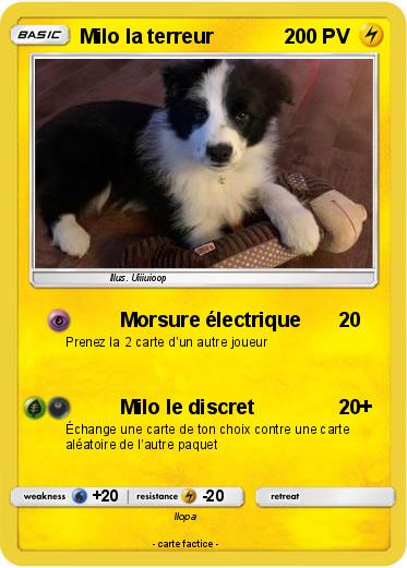 Pokemon Milo la terreur