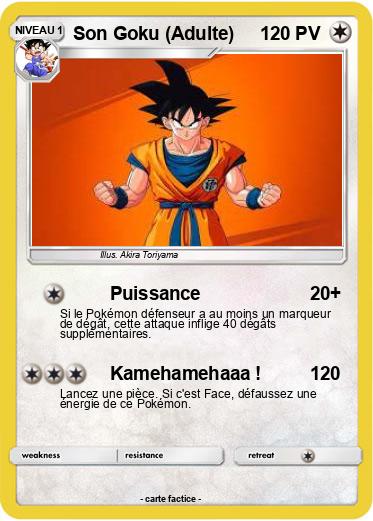 Pokemon Son Goku (Adulte)