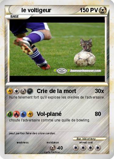 Pokemon le voltigeur