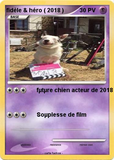 Pokemon fidèle & héro ( 2018 )