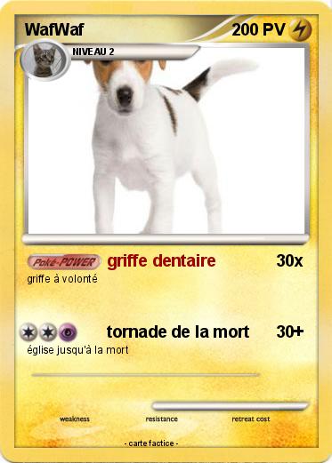 Pokemon WafWaf