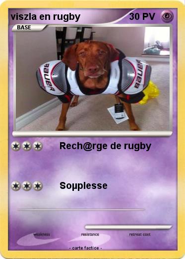 Pokemon viszla en rugby