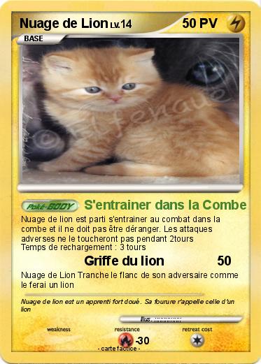 Pokemon Nuage de Lion
