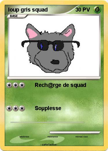 Pokemon loup gris squad