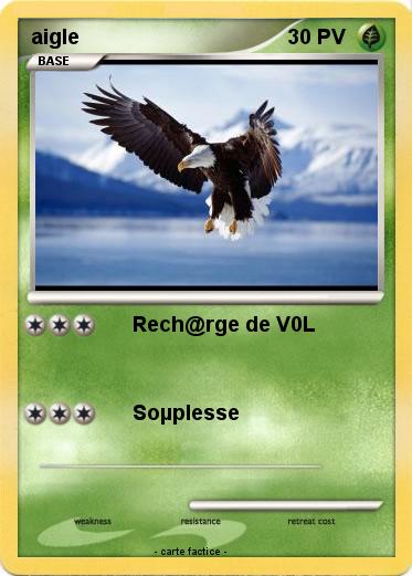Pokemon aigle