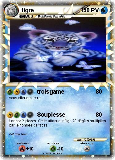 Pokemon tigre