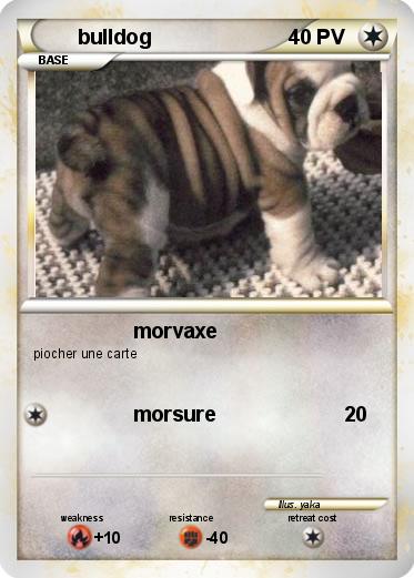 Pokemon bulldog