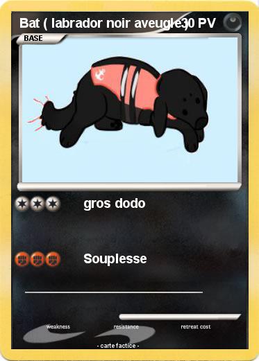 Pokemon Bat ( labrador noir aveugle )