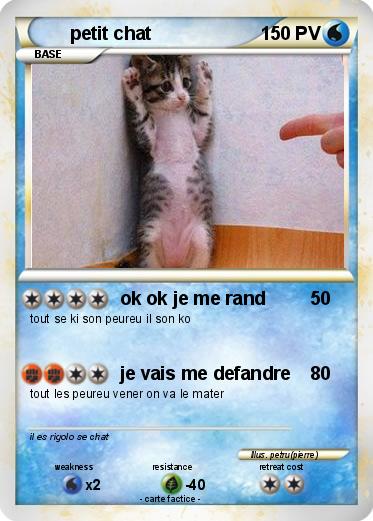 Pokemon petit chat