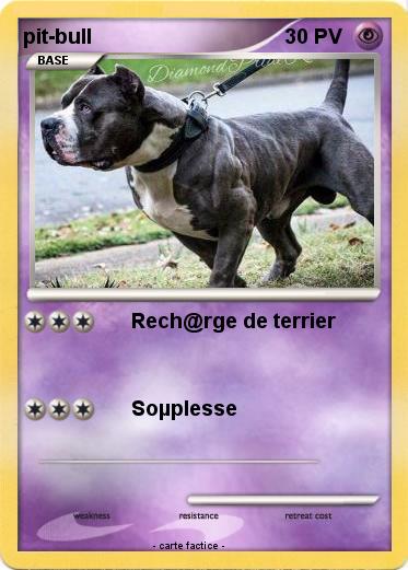 Pokemon pit-bull