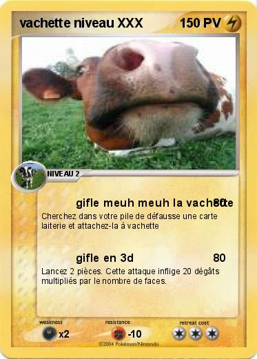 Pokemon vachette niveau XXX