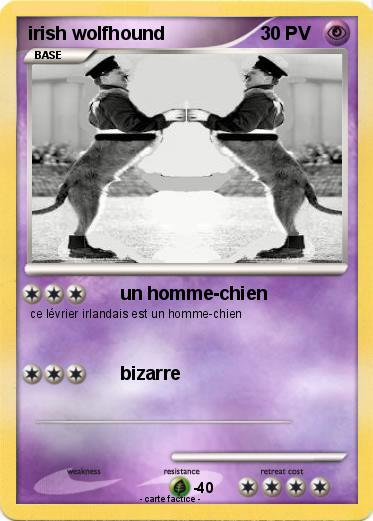 Pokemon irish wolfhound