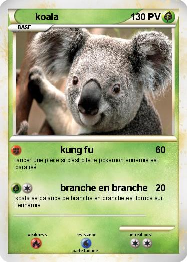 Pokemon koala