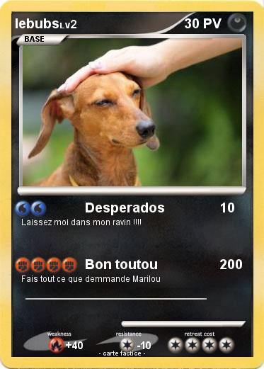 Pokemon lebubs