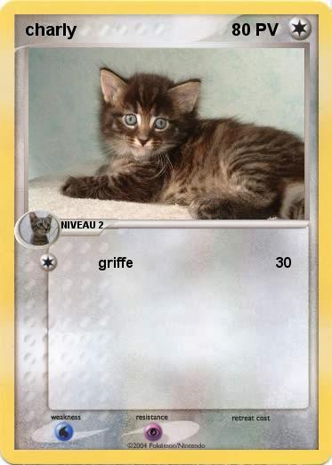 Pokemon charly