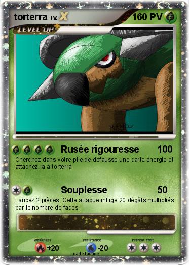 Pokemon torterra