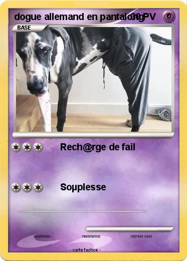 Pokemon dogue allemand en pantalong