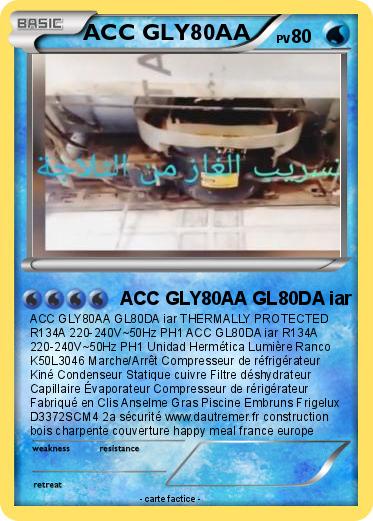 Pokemon ACC GLY80AA