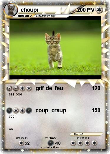 Pokemon choupi